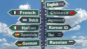 Empty Nest Hobby: Learn A New Language