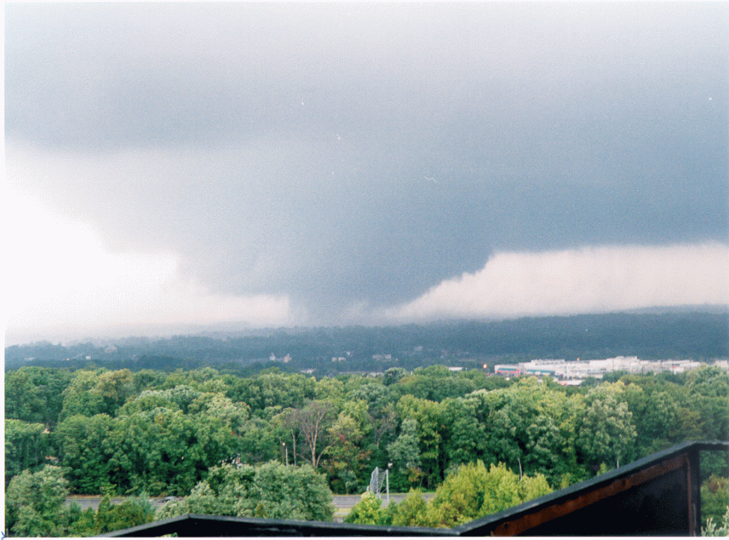 When You Dream About Tornadoes…