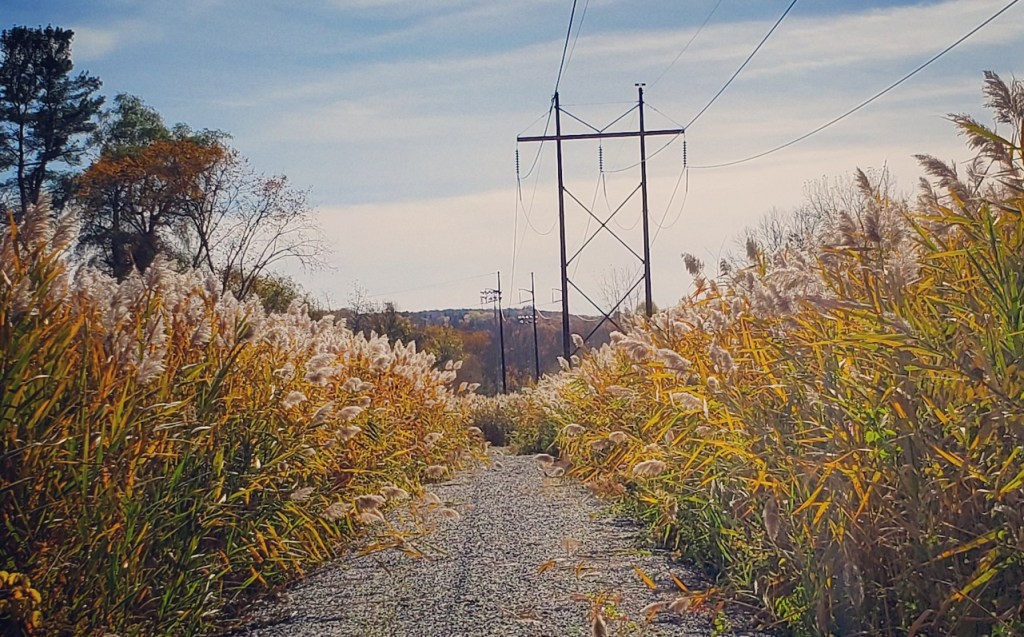 “Invisible” – A&nbsp;Poem