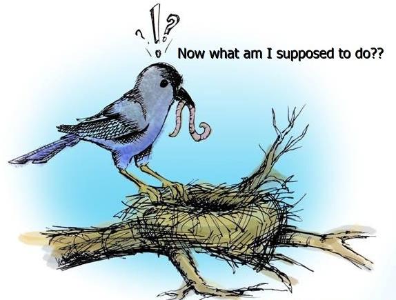 A New S. Paige&nbsp;Writes